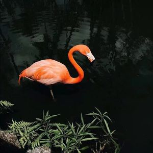 Still Falling for You（Sadieze remix）