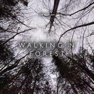 Walking in Forest
