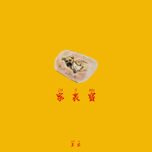 家里宝