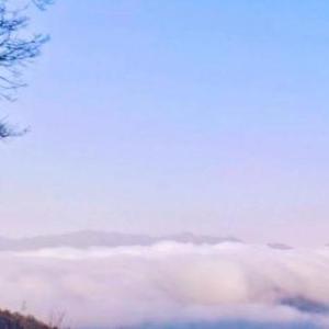 Pay You Back With Interest