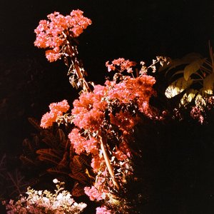 Psicopompo