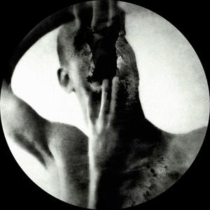 Terminator (Diego Hostettler & Krenzlin Remix)