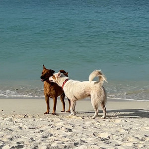 อยากให้เธอได้มีรอยยิ้ม