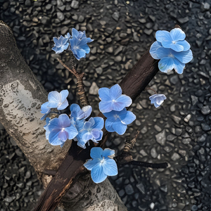 起风了（纯音乐版）