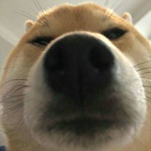 兴之所至（Prod by Lv9）