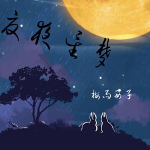夏夜星梦
