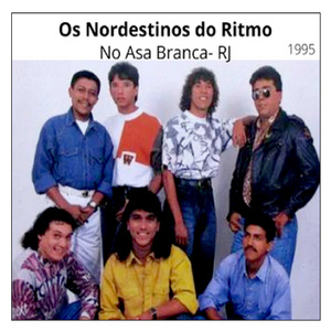 Você endoideceu meu coração - OS NORDESTINOS DO RITMO