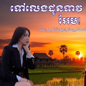 ទៅលេងដូនទាវ អែម! ណាស់ ដៃស្គរត្រាវៃញាក់សាច់