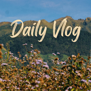 Daily Vlog