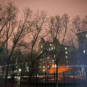 晚风（翻自copy）