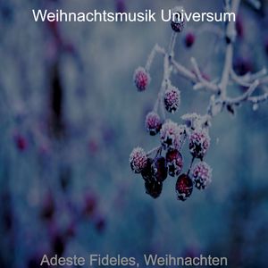 Weihnachtseinkauf (Im trostlosen Winter)