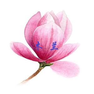 回家 cover 顺子（翻自 顺子）