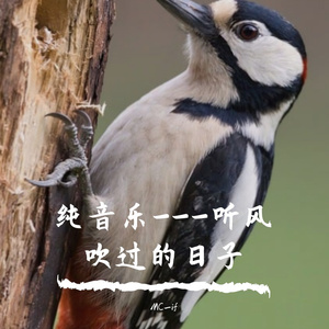 A Dream With a little Regret