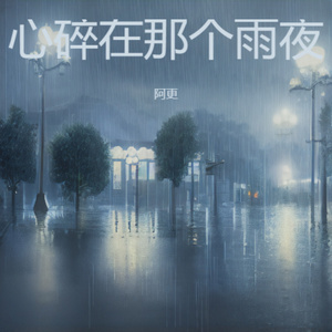 心碎在那个雨夜 (伤感版)
