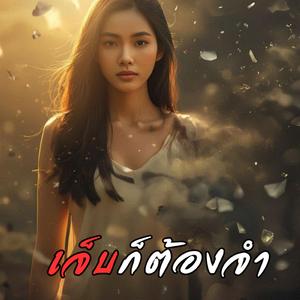 เจ็บก็ต้องจำ