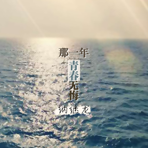 那一年青春无悔 (伴奏)
