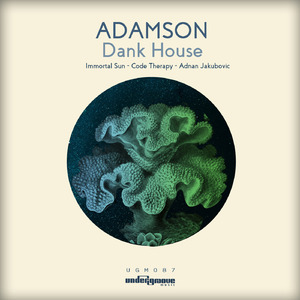 Dank House (Adnan Jakubovic Remix)