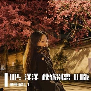 秋殇别恋 DJ版