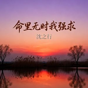 命里无时我强求