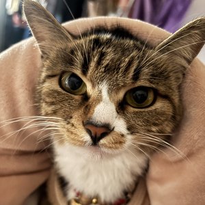 你也曾说害怕失去我