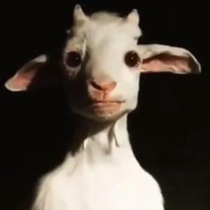 Benjaminz (Richest One)