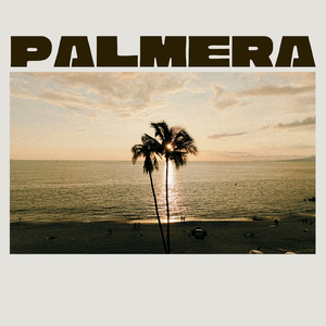Palmera