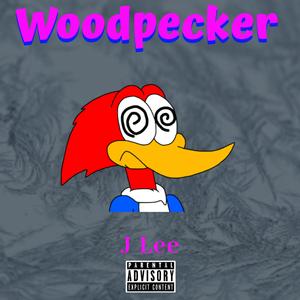Woodpecker