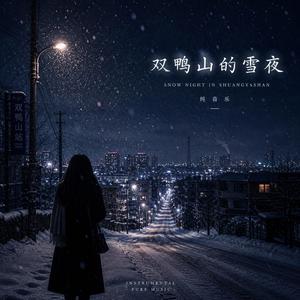 双鸭山的雪夜