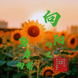 向阳而生，向爱出发