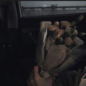 专属情歌(怀柔版)