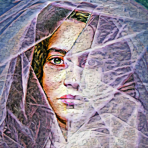 Administrative Business District Casework