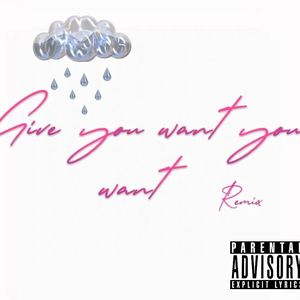 Give You What You Want (remix)