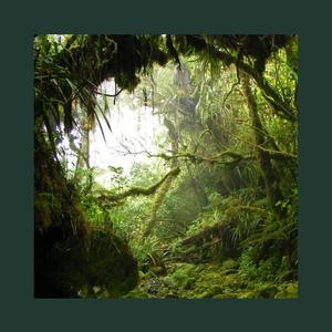 ''Unwind''-Dance Hall Type beat（Prod by 17＆AFB）