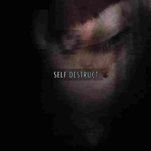 SELF DESTRUCT (feat. skatan)