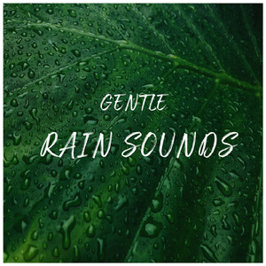 Gentle Rain Sounds for Sleeping, Pt. 40