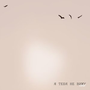 Я тебя не вижу (Cover)
