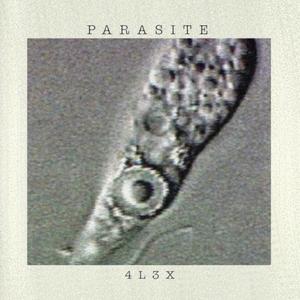 Parasite