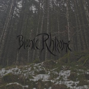 Deterritorialization（解域）