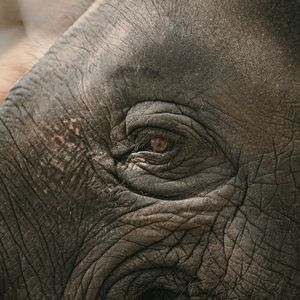 《藏在心底的海洋》