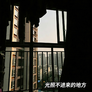 光照不进来的地方.