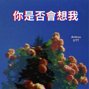 你 是 否 会 想 我 （prod by.9Zi）