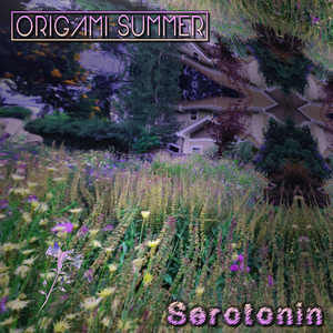 Serotonin
