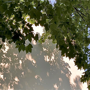 あの夏が飽和する。