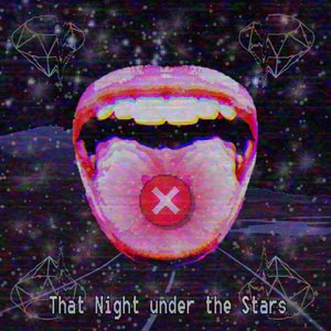 That Night Under The Stars