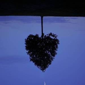 因此我很难再去说爱你