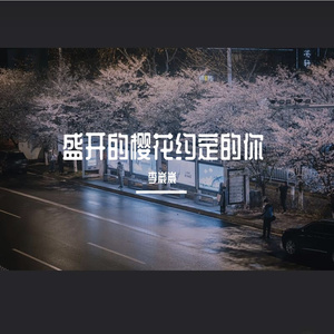 盛开的樱花约定的你