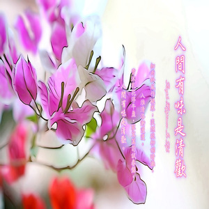 人间有味是清欢