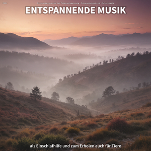 Klangvolle Musik für Spa