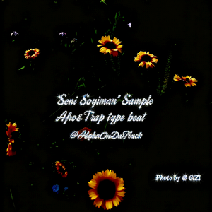 “Seni Soyiman”Sampling Afro&Trap Type Beat