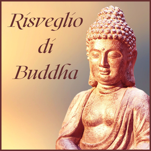 Apprendere la meditazione